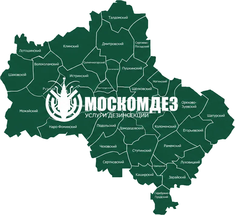 Карта выезда: Зеленоград и Московская область